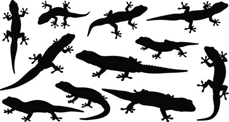 Gecko silhouettes, reptile poses, lizard movement, climbing gecko, animal anatomy, wildlife motion, nature illustration, tail shape, crouching reptile, biology reference