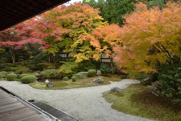 御寺泉涌寺　秋の御座所庭園(京都市東山区)