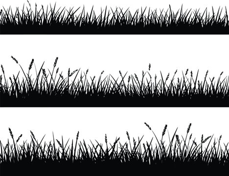 A versatile collection of three distinct black grass silhouettes, arranged as horizontal borders, perfect for natural and outdoor-themed vector designs