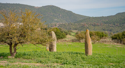 Ancient Menhir Standing Stone in Rural Sardinia Asuni Landscape