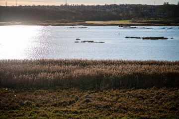 A serene landscape photograph showcasing a beautiful lake view in a peaceful Danish village, surrounded by nature and soft light.