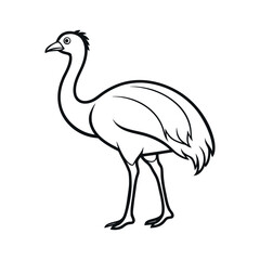 Fototapeta premium Cassowary Outline Line Art Vector Illustration