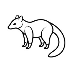 Coati Outline Line Art Vector Illustration