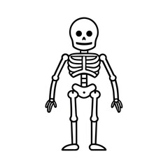 Skeleton Outline Line Art Vector Icon