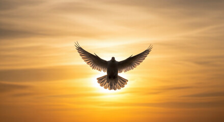 Fototapeta premium white dove silhouette against warm golden sky, symbolic peace atmosphere