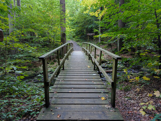 Obraz premium Brücke, Holzbrücke, Fußgängerbrücke, Waldweg, Herbst