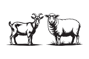 Black and white illustration of a goat and a sheep standing side by side