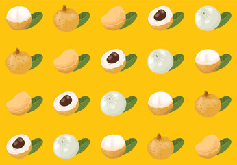 Seamless pattern with longan fruit, peeled skin for longan