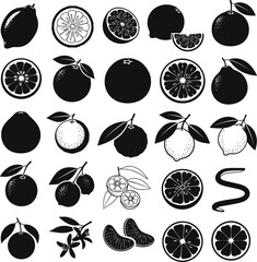 Collection of Citrus Fruits and Elements in Black Silhouette Vector Graphics Keywords: citrus, lemon, orange, grapefruit, lime
