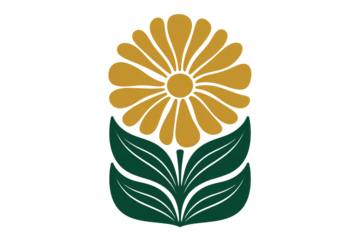 Boho floral illustration for a modern design project, inviting a touch of nature's beauty and a sense of warmth into any creative endeavor