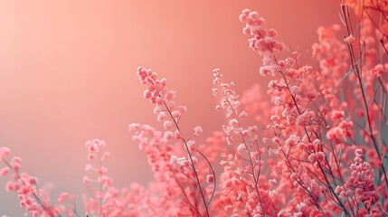 Soft pink flowers on slender branches against a gradient pink background in a dreamy aesthetic