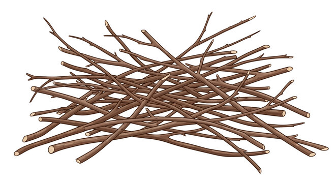 Illustration of natural brown wooden sticks forming a messy pile