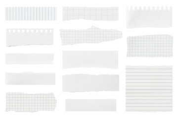 Torn paper pieces with various textures, perfect for adding a raw, authentic feel to any creative project, ideal for design elements.