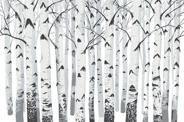 Birch trees texture vector illustration