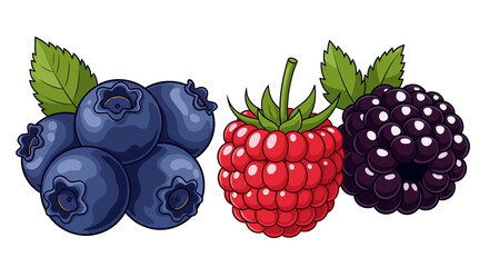 Blueberry, raspberry, blackberry fruit cartoon illustration design © FAM