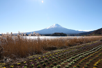 View of landscape fuji mountain in winter at Lake Kawaguchi
