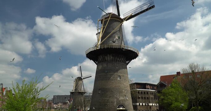 Traditional dutch windmills in Schiedam, known to be the tallest in The World, Schiedam, Netherlands
