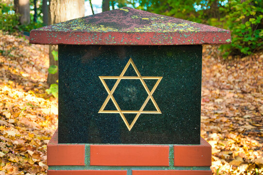 Fototapeta Barlinek (niem. Berlinchen) – Godło z Gwiazdą Dawida znajduje się na ciemnym, porośniętym mchem cokole z czerwoną dachówką, w parku pokrytym jesiennymi liśćmi.