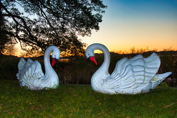 Barlinek (niem. Berlinchen) – Dwa białe posągi łabędzi stoją na trawniku o zachodzie słońca, tworząc spokojną, dekoracyjną scenerię ogrodową z tłem w postaci wody i ciepłego nieba. © Pol Badger