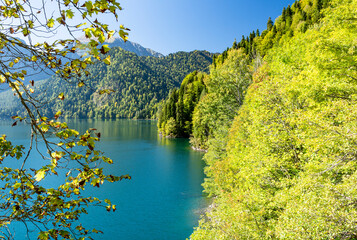 A beautiful view through the tree branches from the high bank of the famous Lake Ritsa. A warm, sunny day.