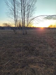 Wildlife in April, after the snow melts. A unique nature image for design.