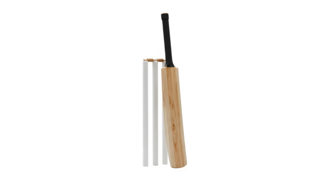 Cricket bat and wickets, essential equipment for the sport