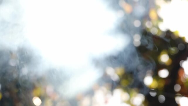 Thick white smoke slowly billows upwards, contrasted against bright sunlight filtering through foliage (bokeh). Fire danger concept in a dry, environmental landscape with scorched, dried brush visible