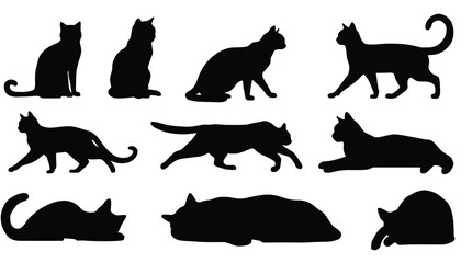 Cat silhouette set icons © Awaisii