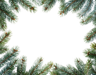 Christmas fir tree branches frame