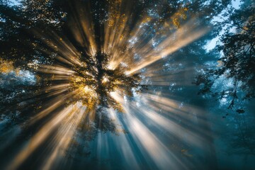 Misty forest with sunlight beams highlighting green and golden foliage in a serene and mysterious atmosphere of tranquility and nature's enchantment