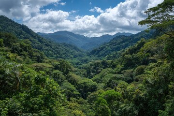 Lush green forest landscape with towering trees, gentle hills, and a serene atmosphere showcasing vibrant lighting and a mix of clouds and blue sky, perfect for nature enthusiasts and eco tourism