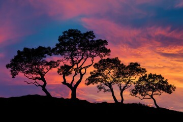 Beautiful sunset with vivid pink, orange, and purple skies, silhouetted tree branches adding elegance and contrast, evoking tranquility and the serene beauty of nature at dusk