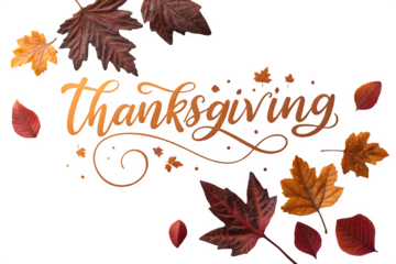 Beautiful thanksgiving text with autumn leaves isolated on transparent background