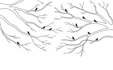 Line art of tree branches with many small birds illustration