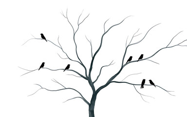 Silhouette of Bare Tree Branches with Small Birds on White Background