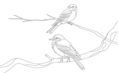 Line art illustration of two birds on a branch tree