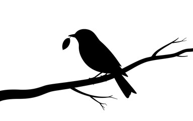 Black silhouette of a bird holding a leaf in its beak