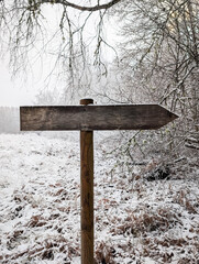 Blank wooden arrow signpost in a snowy Estonian nature scene, offering copy space for your message or text. Concept of direction.