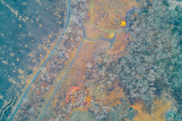 top-down aerial photograph of a late autumn forest landscape. Leafless trees, textured ground, and winding dirt roads symbolize choice, travel, and environmental change. Cold, muted colors.