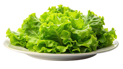 Fresh green lettuce leaves piled high on a white plate isolated on transparent background