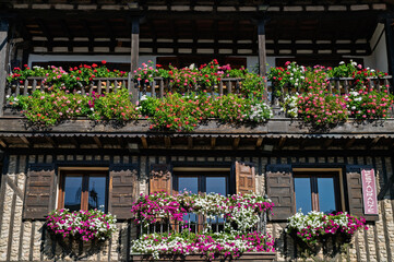 Balconies filled with flowerpots on the facades of typical houses in La Alberca (Salamanca, Spain)