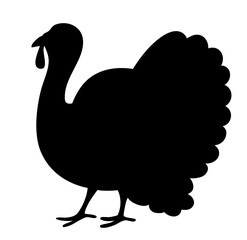 Thanksgiving turkey silhouette with large fan tail standing on farm, autumn harvest bird