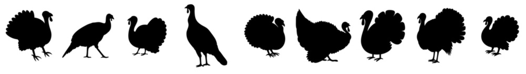 Thanksgiving turkey silhouettes bundle. Autumn farm birds with fan tails and classic gobbler shapes