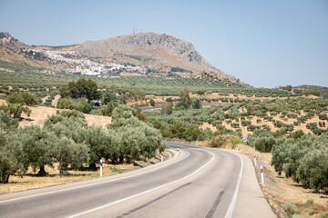 N-432 paved road through olive groves with a view to Luque village, province of Cordoba, Andalusia, Spain