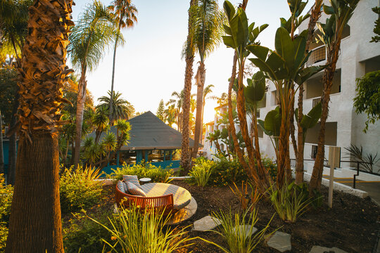 Sunrise resort relaxation