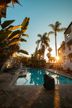 Sunburst sunrise at resort pool with tropical leaves