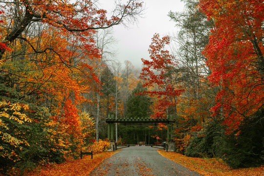 Moody autumn gate entrance