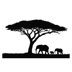 Silhouette of elephants walking under an acacia tree