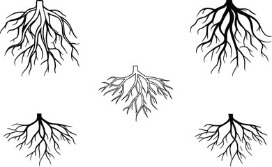 Abstract Root System: A detailed artistic representation of interconnected root systems, showcasing the intricate network that underpins life and growth. 