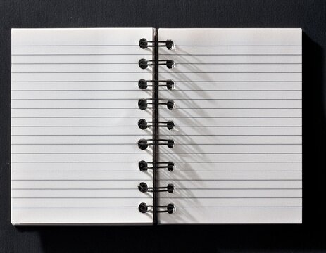 lined notebook paper piece with two binder holes